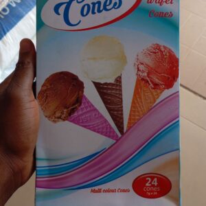 Just Cones Ice Cream Cone – 24pcs